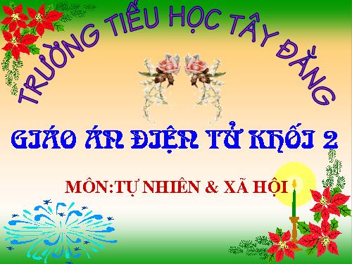 Bài 26. Một số loài cây sống dưới nước