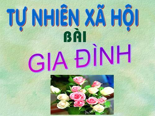 Bài 11. Gia đình