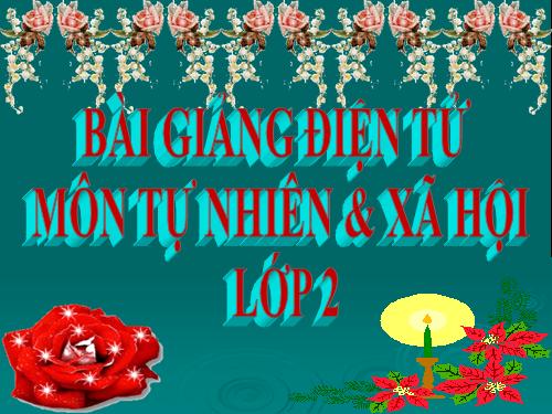 Bài 19. Đường giao thông