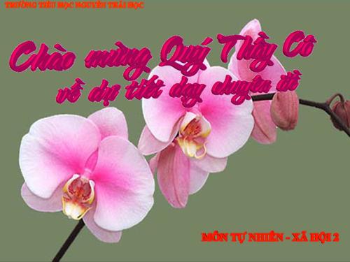 Bài 21. Cuộc sống xung quanh