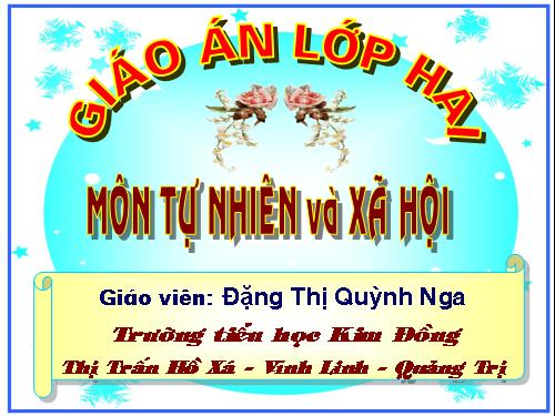 Bài 9. Đề phòng bệnh giun