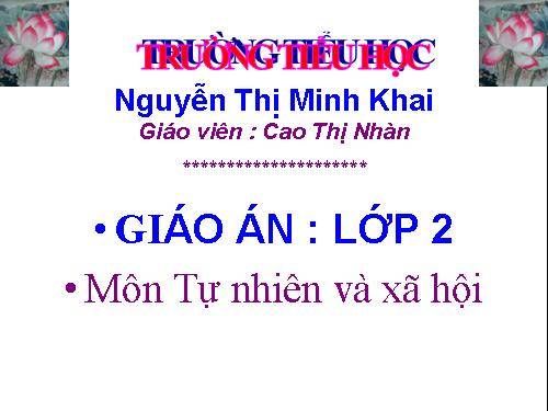 Bài 29. Một số loài vật sống dưới nước