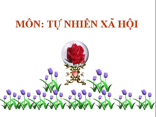 Bài 1. Cơ quan vận động