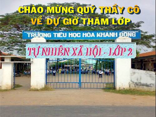 Bài 16. Các thành viên trong nhà trường