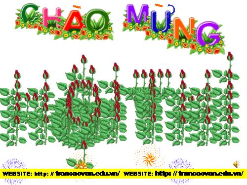 Bài 15. Trường học