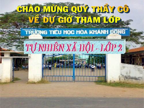 Bài 16. Các thành viên trong nhà trường
