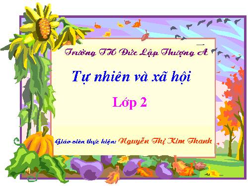 Bài 8. Ăn, uống sạch sẽ