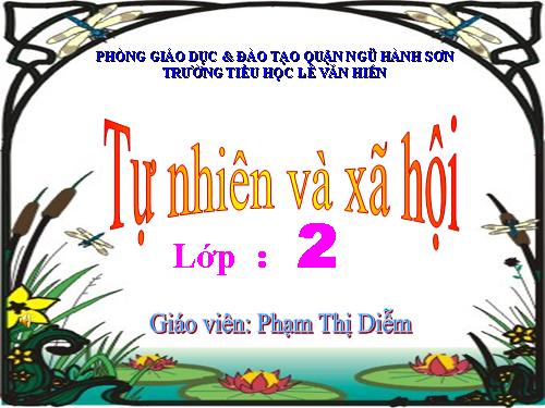 Bài 24. Cây sống ở đâu?