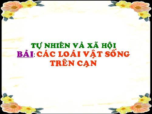 Bài 28. Một số loài vật sống trên cạn
