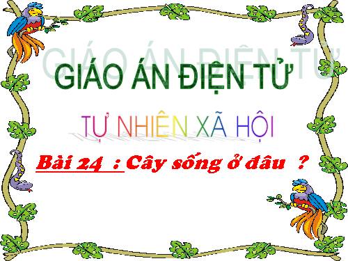 Bài 24. Cây sống ở đâu?