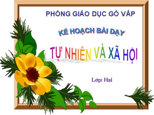 Bài 25. Một số loài cây sống trên cạn