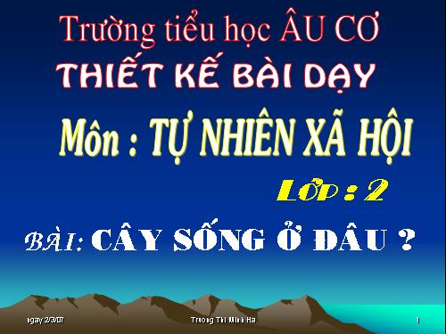 Bài 24. Cây sống ở đâu?