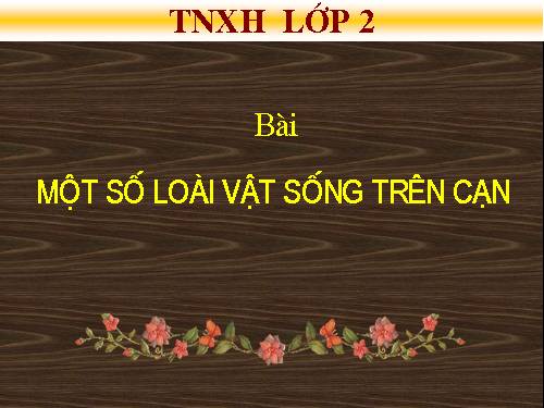 Bài 28. Một số loài vật sống trên cạn