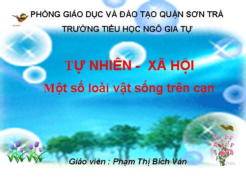 Bài 28. Một số loài vật sống trên cạn