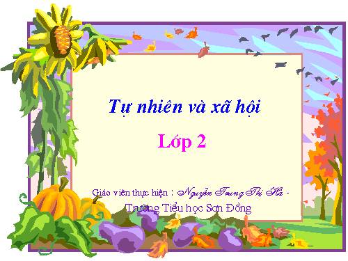 Bài 8. Ăn, uống sạch sẽ