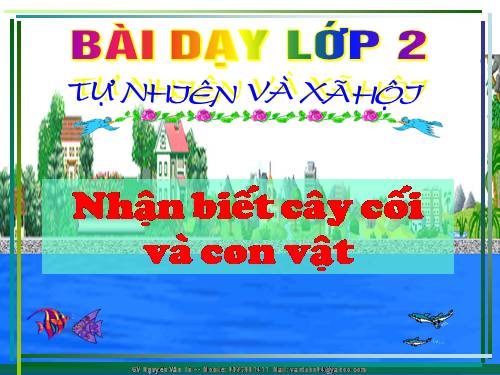 Bài 30. Nhận biết cây cối và các con vật