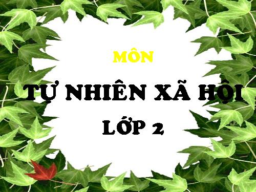 Bài 28. Một số loài vật sống trên cạn