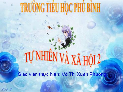 Bài 6. Tiêu hoá thức ăn