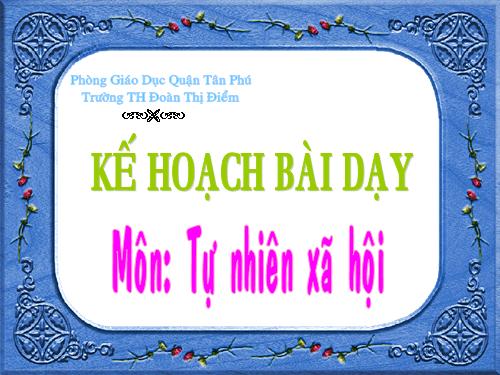 Bài 29. Một số loài vật sống dưới nước