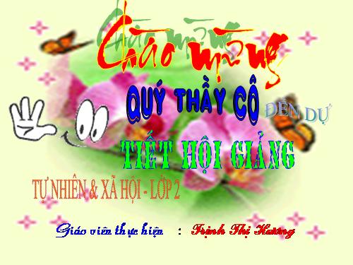 Bài 21. Cuộc sống xung quanh
