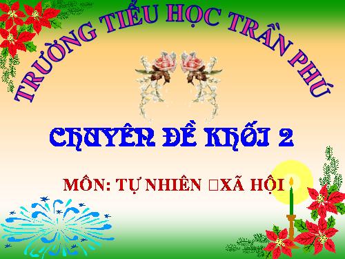 Bài 5. Cơ quan tiêu hoá