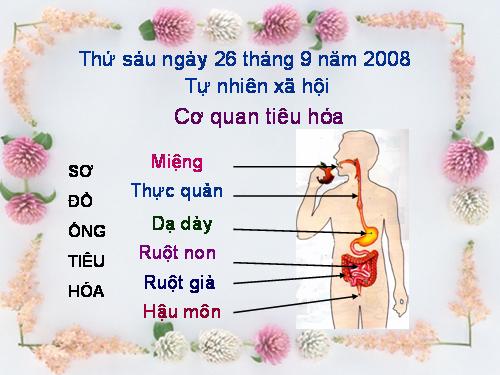 Bài 5. Cơ quan tiêu hoá