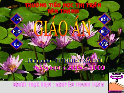 Bài 21. Cuộc sống xung quanh