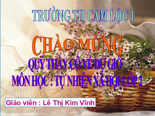 Bài 24. Cây sống ở đâu?