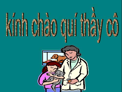 Bài 27. Loài vật sống ở đâu?