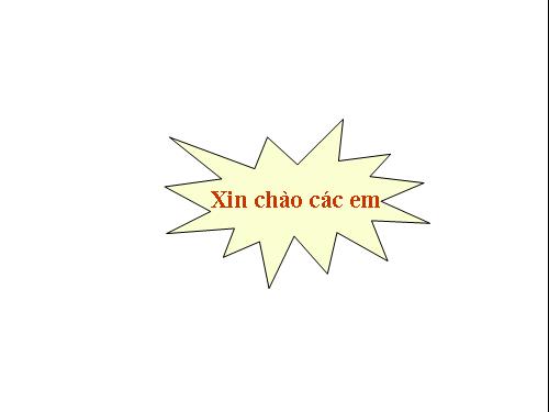 Tiêu hóa thức ăn