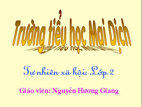 Bài 27. Loài vật sống ở đâu?