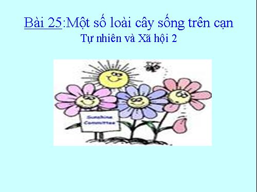 Bài 25. Một số loài cây sống trên cạn
