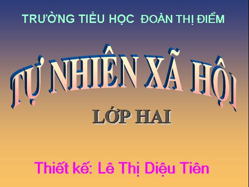 Bài 28. Một số loài vật sống trên cạn