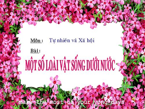 Bài 29. Một số loài vật sống dưới nước