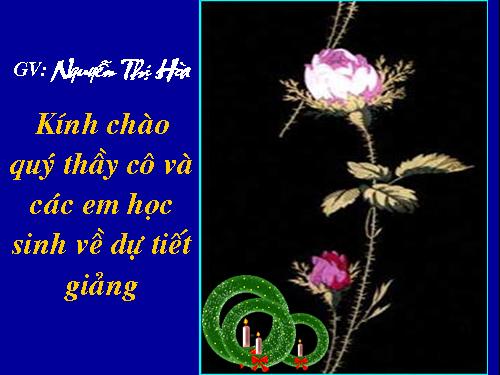 Bài 28. Một số loài vật sống trên cạn