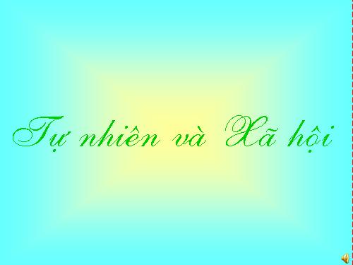 Bài 24. Cây sống ở đâu?