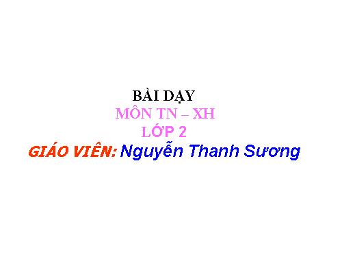 Bài 19. Đường giao thông
