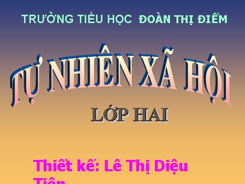 Bài 28. Một số loài vật sống trên cạn