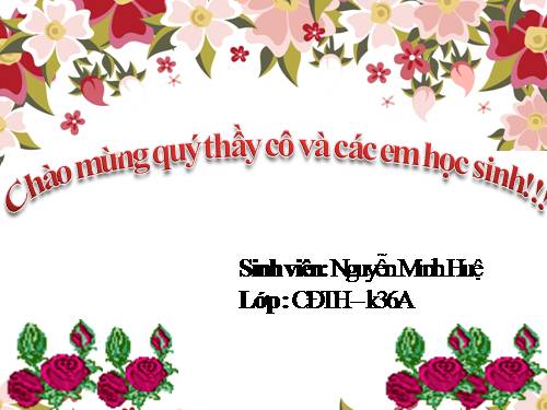 Tuần 28. Kho báu