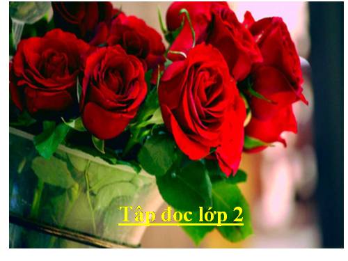 Tuần 3. Bạn của Nai Nhỏ