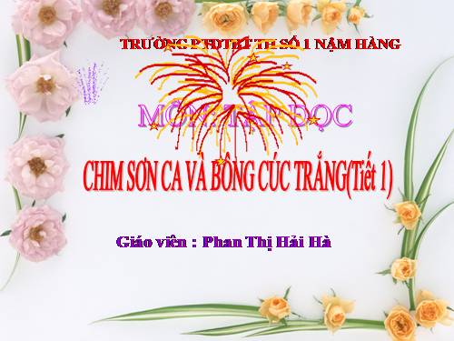 chim son ca va bong cuc trang