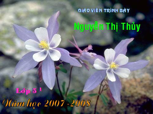 giao an dien tu lich su bai duong truong son
