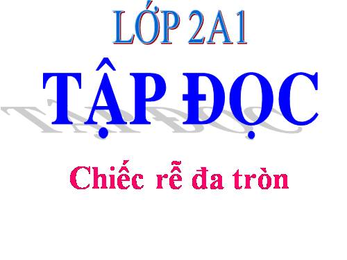 Tuần 31. Chiếc rễ đa tròn