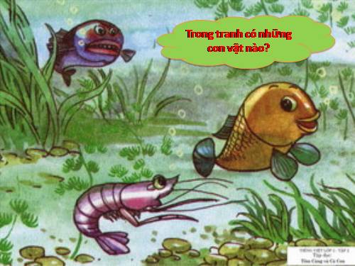 Tuần 26. Tôm Càng và Cá Con