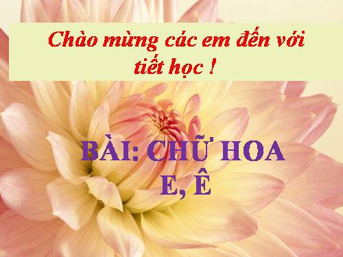 Tập viết 2. Tuần 7. Chữ hoa: E, Ê