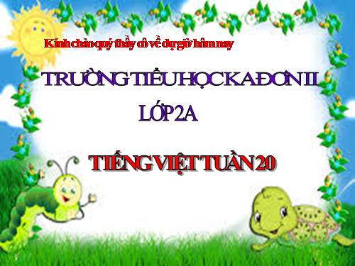 Tuần 20. Mùa xuân đến
