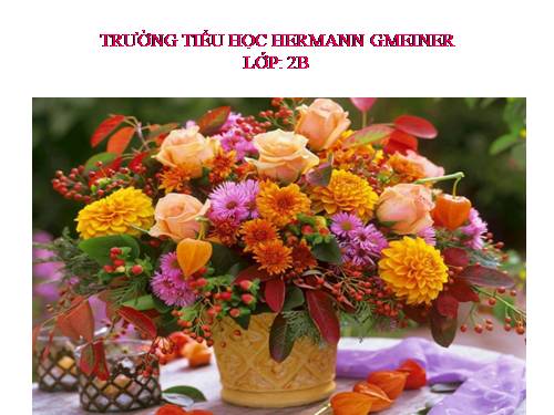 Tuần 21. Chim sơn ca và bông cúc trắng