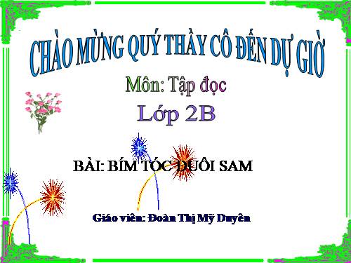 Tuần 4. Bím tóc đuôi sam