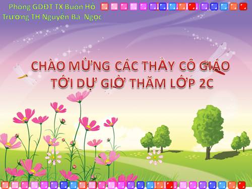 Tuần 8. Bàn tay dịu dàng