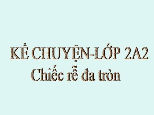 Tuần 31. Chiếc rễ đa tròn